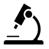 evaluation evaluation